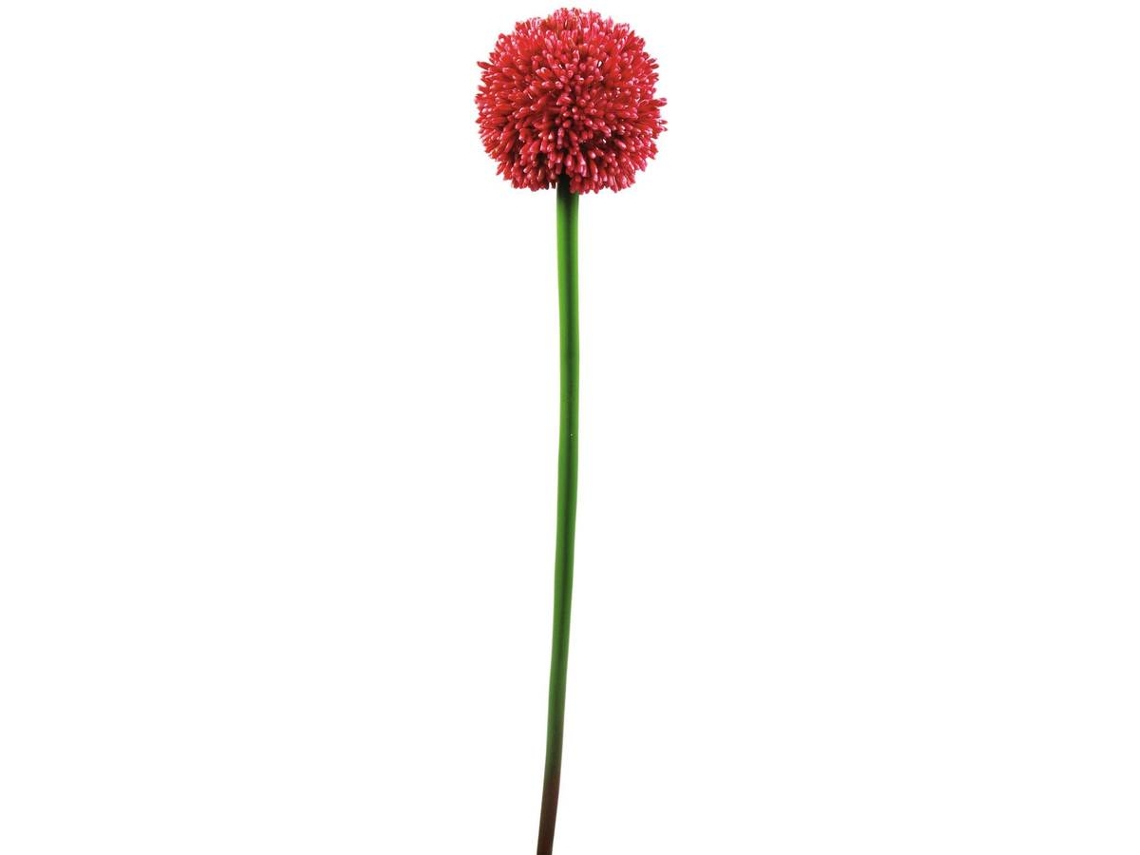 Planta Artificial EUROPALMS Allium (Verde - 55 cm)