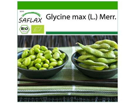 SAFLAX Ecológico Alubia Edamame 8 semillas Con sustrato de cultivo libre de gérmenes Glycine max (L.) Merr.