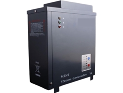 Calentador Eléctrico Para Sauna, Mini Generador Eléctrico De Vapor Aromático Para Sauna, Pequeño 500w 750w 1kw