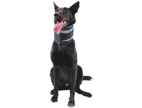 Protector Cervical Para Perros KVP Bite Free (15-53x15 cm)