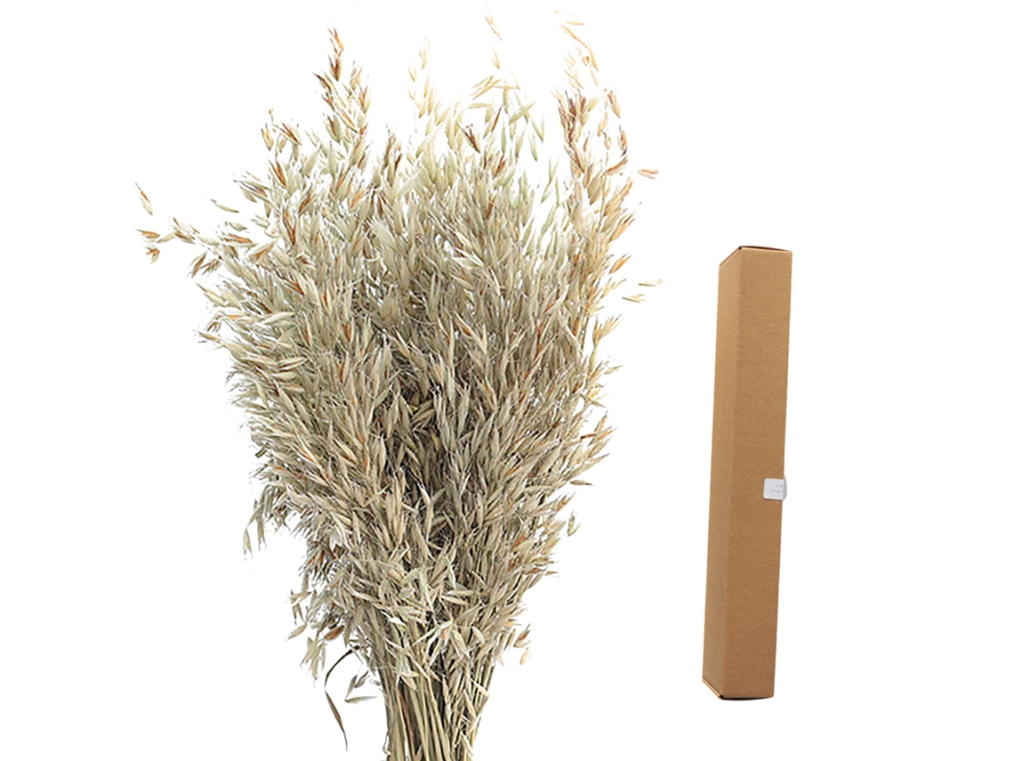 Avena en rebanadas original de 45 cm, envasada en caja de cartón de 45 x 5 x 7 cm.