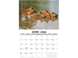 Calendario De Pared Mensual Con Ilustraciones De Animales En Inglés. De De 12 Meses Para Estudiantes, Niños