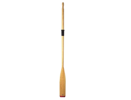 Remo Brittania Pine Quality Dourado 270 Cmplastimo