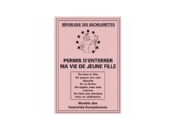 Permiso - Voy a hacer una despedida de soltera.