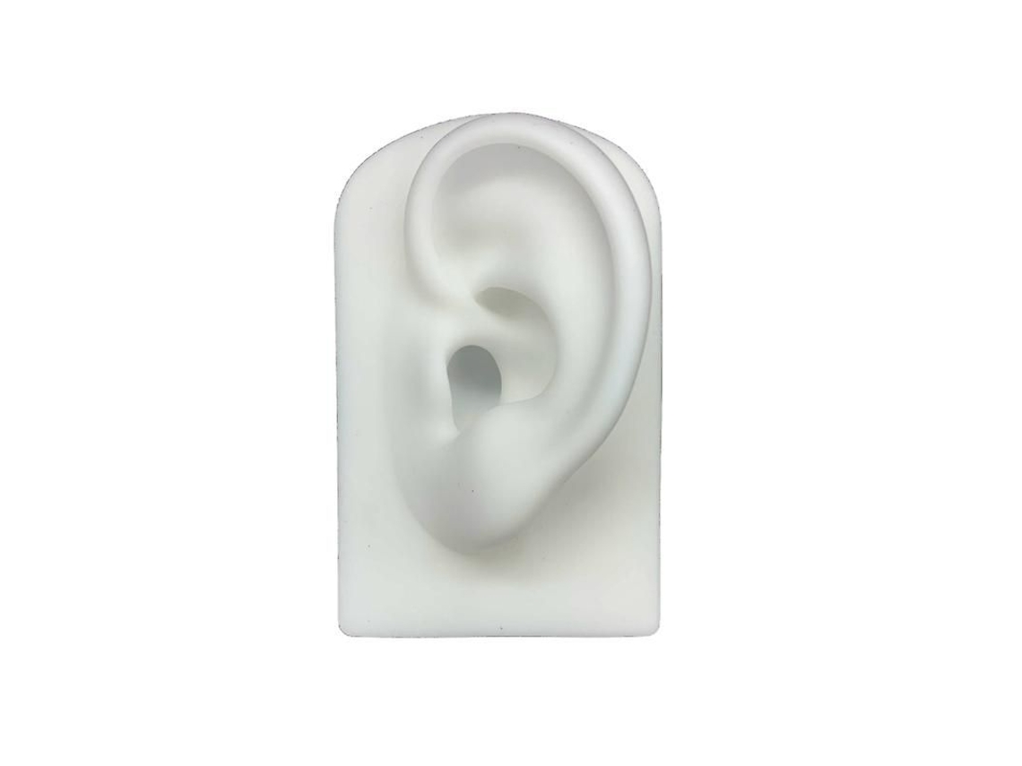 2026altiro-modelo De Oreja Humana De Silicona Suave Para Acupuntura, Estudio Y Exhibición.