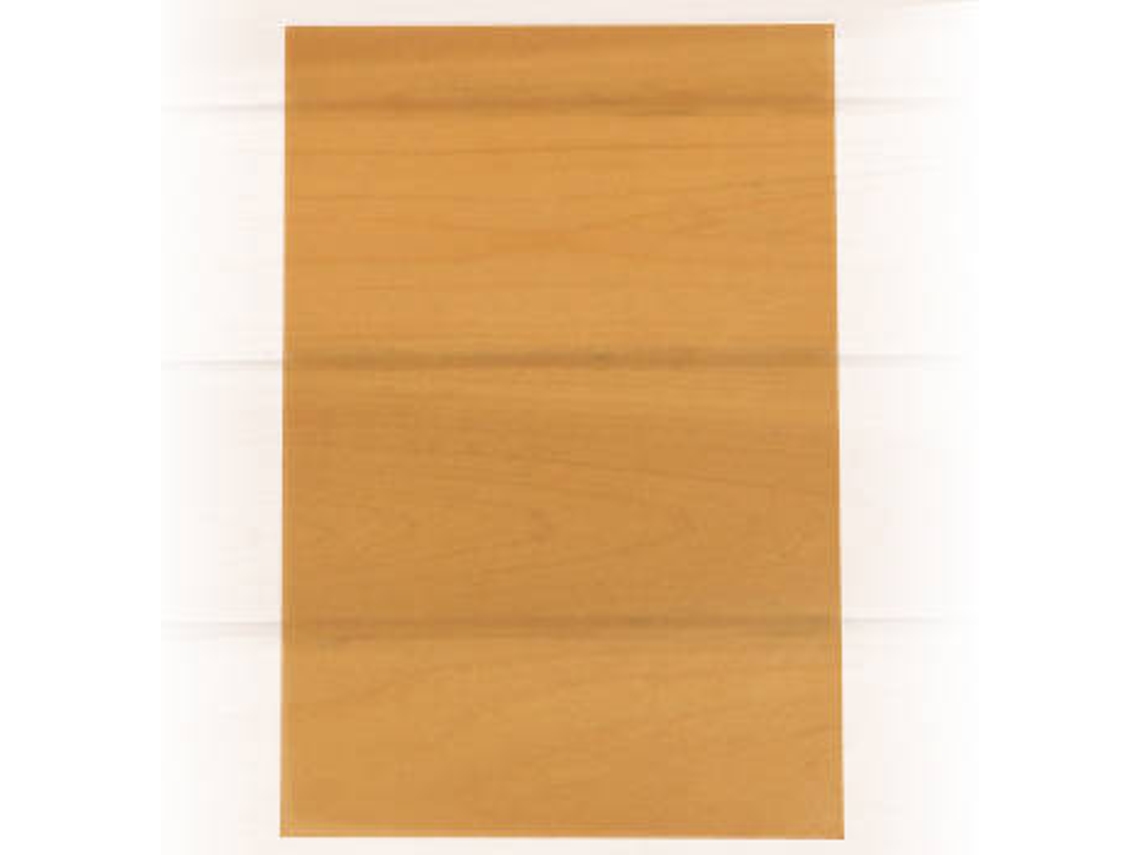 Papel Vegetal SCHOELLERSHAMMER 1837680 (A4 - Naranja - 10 Hojas)