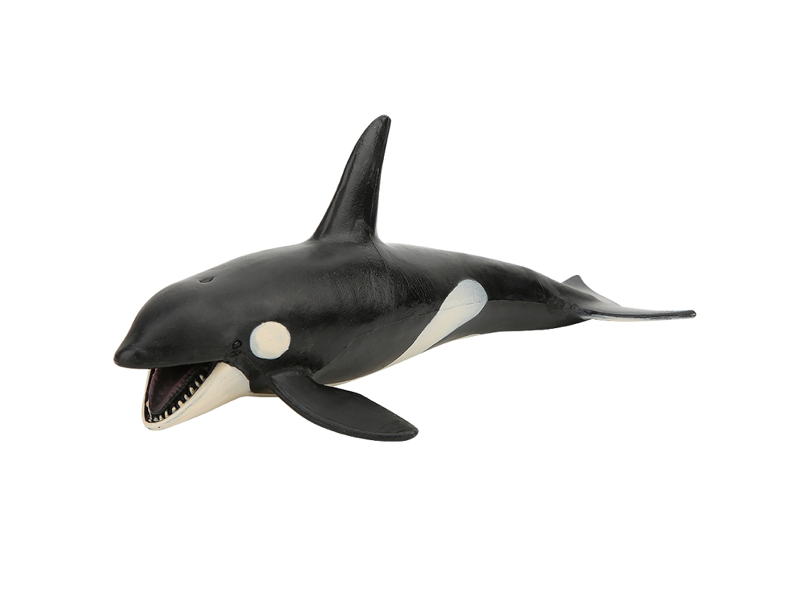 Simulación de modelo animal ATS: Orca estática sólida, juguete educativo para niños.