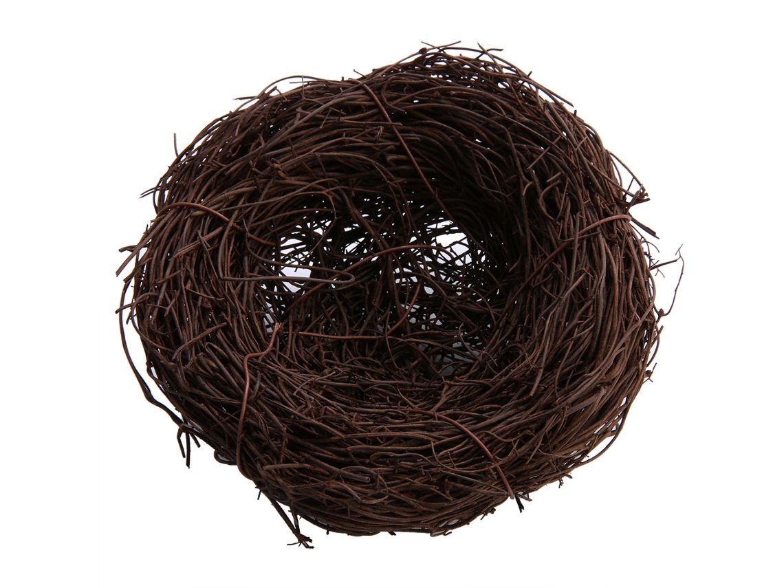 Adorno fotográfico para decoración del hogar con nido de pájaro y enredadera (diámetro de 10 cm)