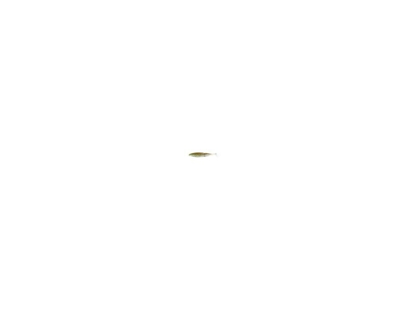Juego de 4 señuelos SAWAMURA One Up Shad 6 064