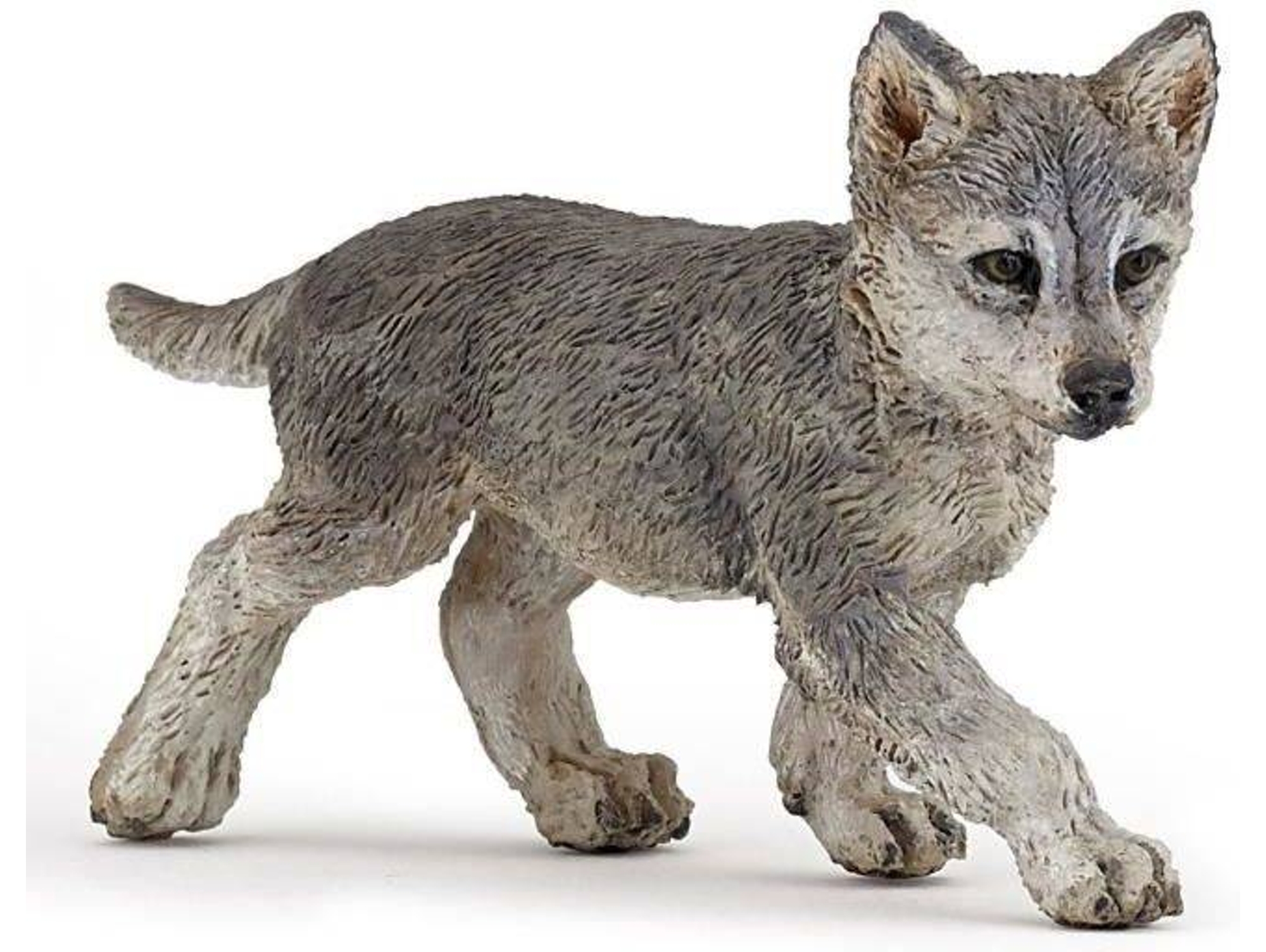 Figura PAPO Lobo