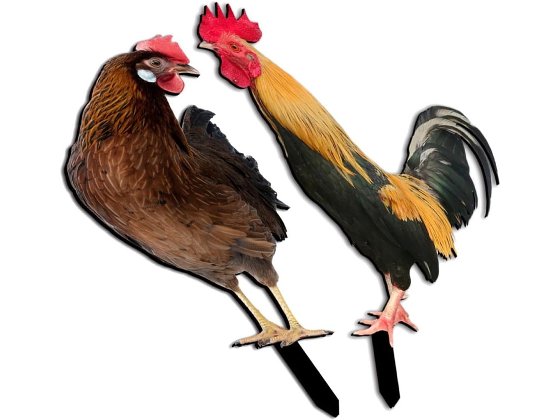 Inoomp 2 Estacas Para Pollos De Jardín, Hechas De Acrílico Duradero, Brochetas Decorativas Para Pollos, Ideales Para