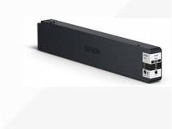 Cartucho de tinta EPSON C13T858100