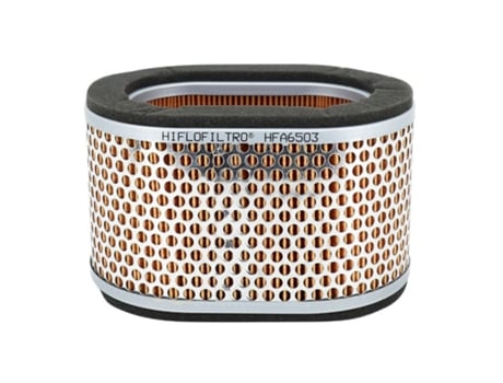 Filtro de aire HIFLOFILTRO Triumph 955 Daytona 20022006, 955 Sprint 20022004, 955 Speed Triple 20022004