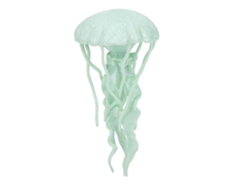 Medusa de juguete - Regalo divertido y educativo para niños - Rosewell