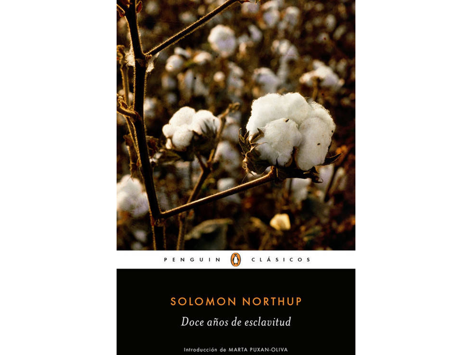 Libro Doce Años De Esclavitud de Solomon Northup (Español)