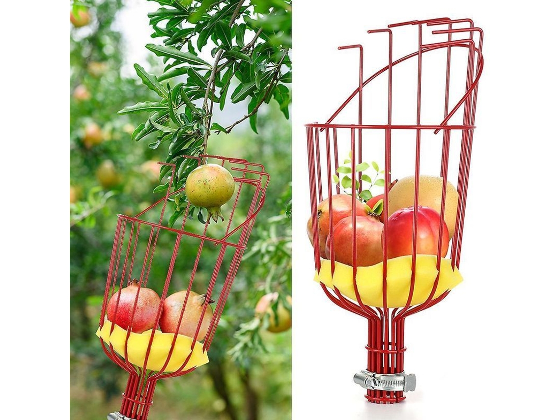 2026-herramienta De Cosecha De Frutas Con Canasta Giratoria Compatible Con Manzanas Zyg Rojo