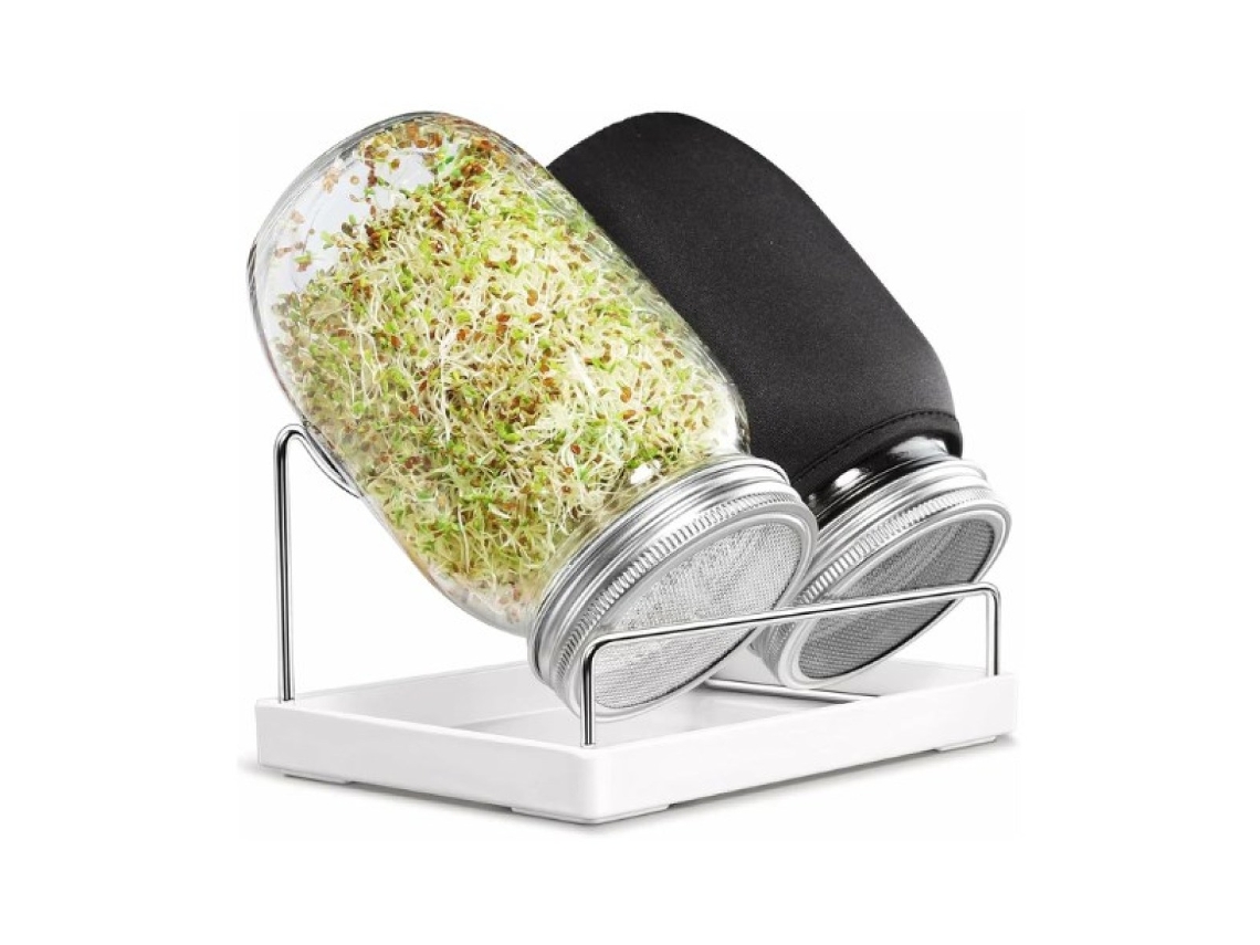 Kit de germinación: semillas versátiles y de fácil germinación. Cultiva brócoli, alfalfa y frijoles mungo saludables en un soporte de acero inoxidable.