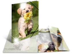 Carpeta de esquina HERMA Perros PP brillante Din A4