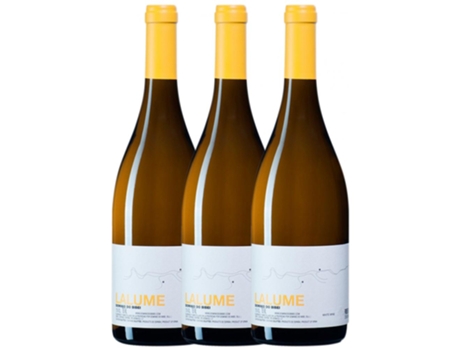 Vino Blanco DOMINIO DO BIBEI Dominio Do Bibei Lalume Ribeiro (0.75 L - 3 unidades)