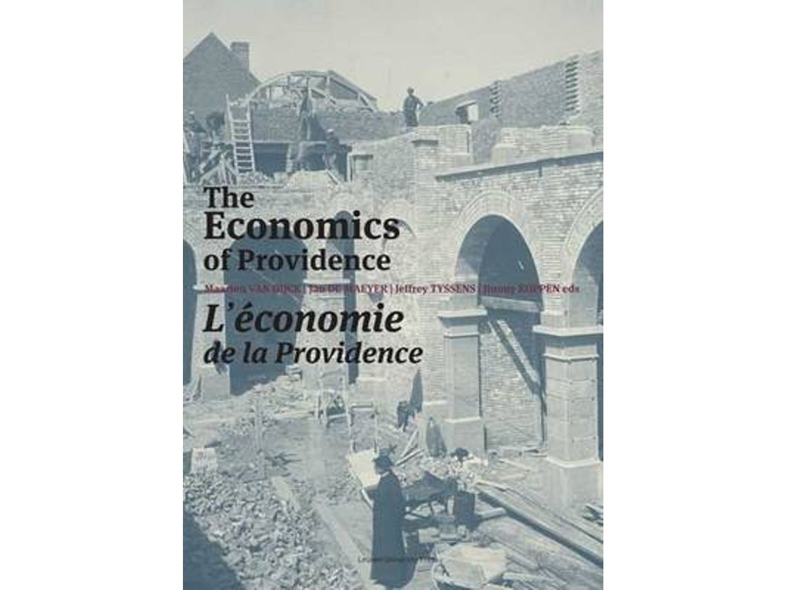 Libro The Economics of Providence (Inglés)