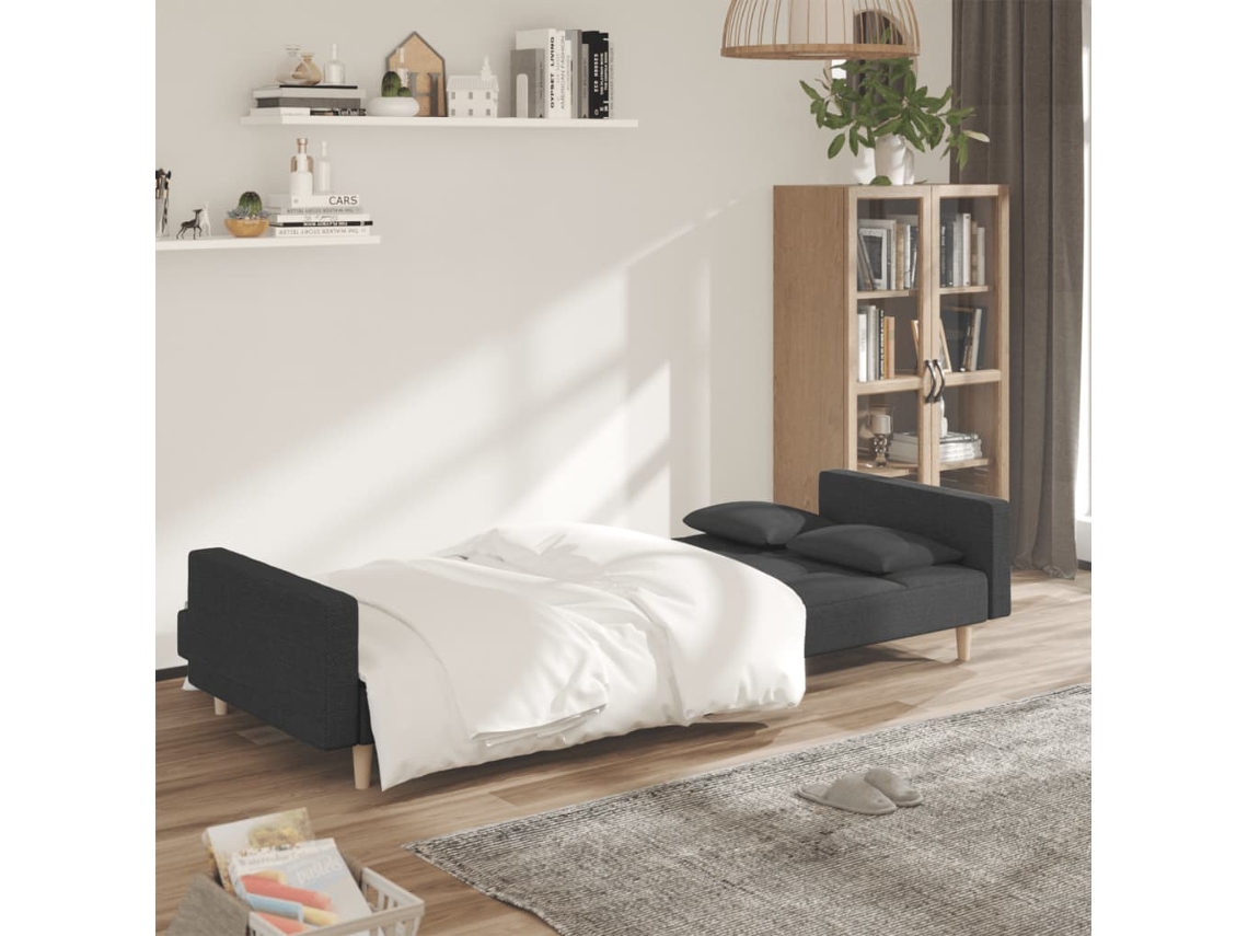 Sofá Cama De 2 Plazas Con Dos Almohadas Tela Gris Oscuro