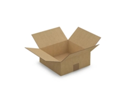 15 cajas de envases de 25 x 25 x 10 cm - Flauta única