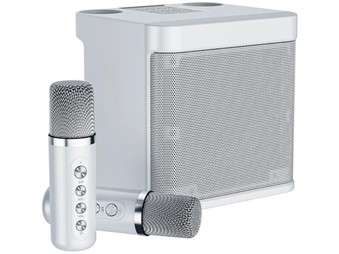KLACK Karaoke Altavoz subwoofer con micrófono dual Bluetooth 100W Cambio de voz Plata