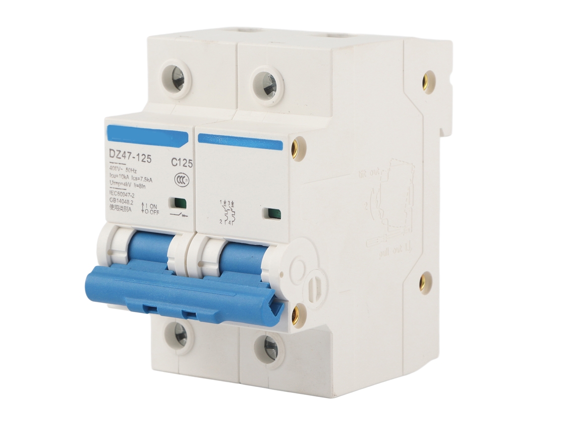 Disyuntor De Protección Contra Fuga 400v 125a Dz47-125 2p Miniatura