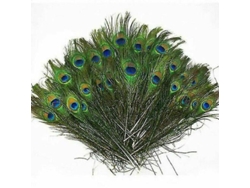 2026-100 Plumas Cola Pavo Real Natural 25-30cm Calidad Alta Para Decoración Manual Boda Diy 50 Unidades