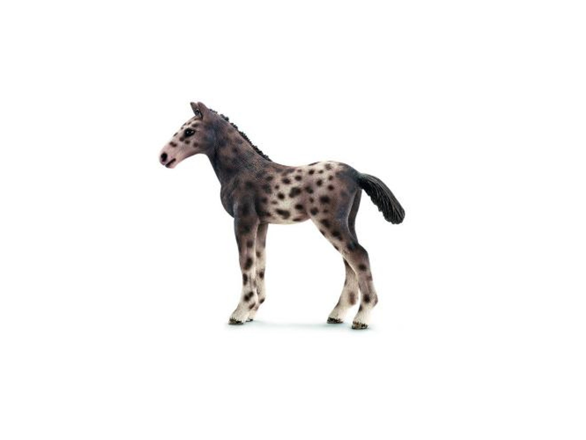 Figura SCHLEICH Cría de Caballo Knabstupper