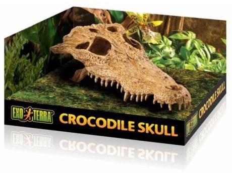 Adorno para Reptiles EXO TERRA Crocodile Skull