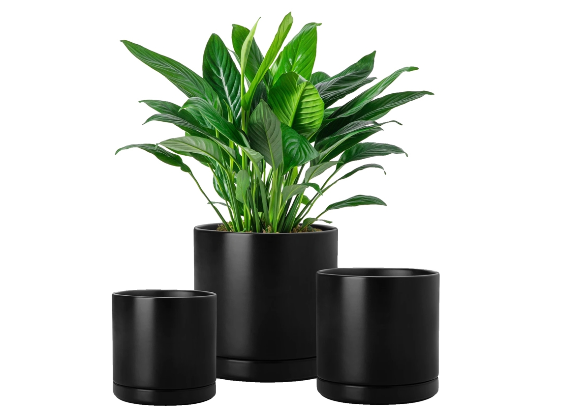 Jarrón de cerámica, ideal para suculentas, jarrón decorativo de mesa, negro.