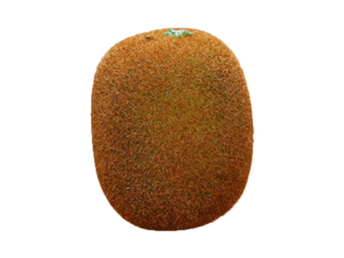 Modelo de fruta artificial de espuma, imitación para decoración, accesorio educativo para jardín de infancia, kiwi