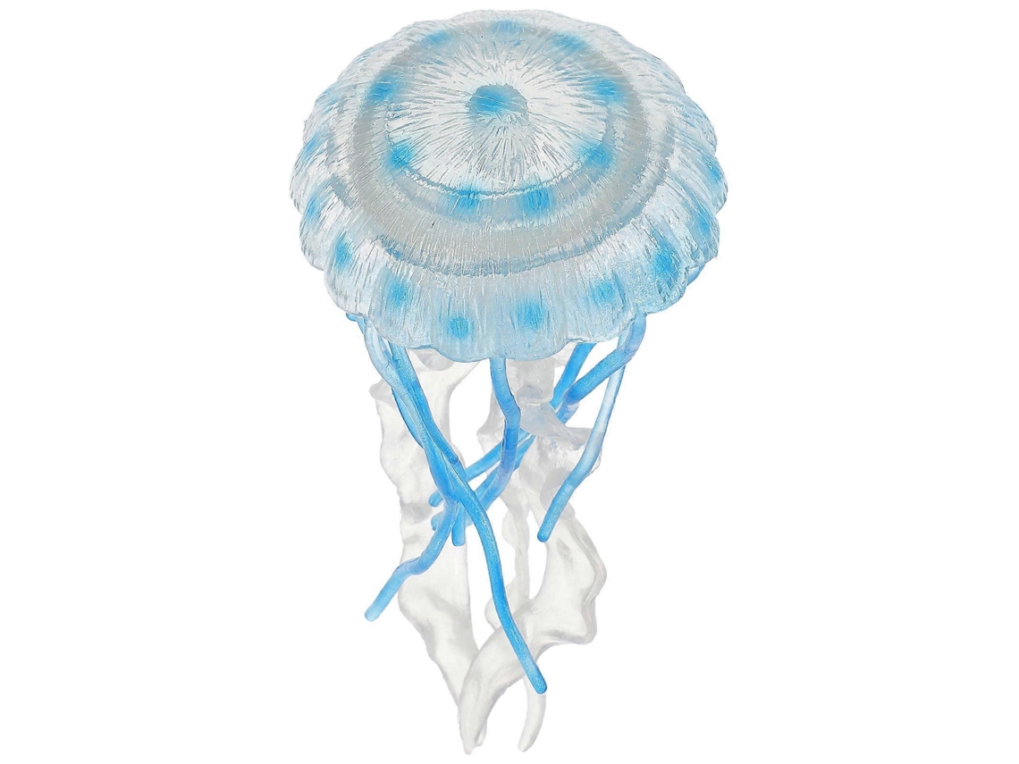 Medusa de juguete, modelo educativo y científico para niños, 2 piezas, Fun Rosewell
