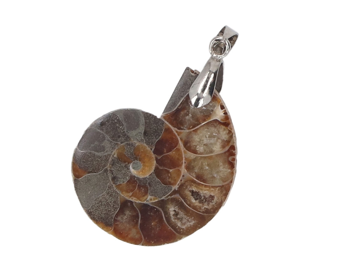 Colgante De Concha De Amonita Hecho A Mano, Regalo Vintage De La Naturaleza Para Mujeres Y Hombres.