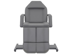 Maison Exclusive - Sillón De Salón De Belleza Cuero Sintético Gris 180x62x78 Cm
