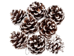 12 Conchas De Pino Naturales Con Cuerda De 4-5 Cm Para Decoración Navideña Y De Fiestas.
