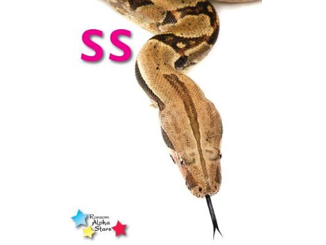 Libro Alpha Stars ss de Stephen Rickard (Inglés)