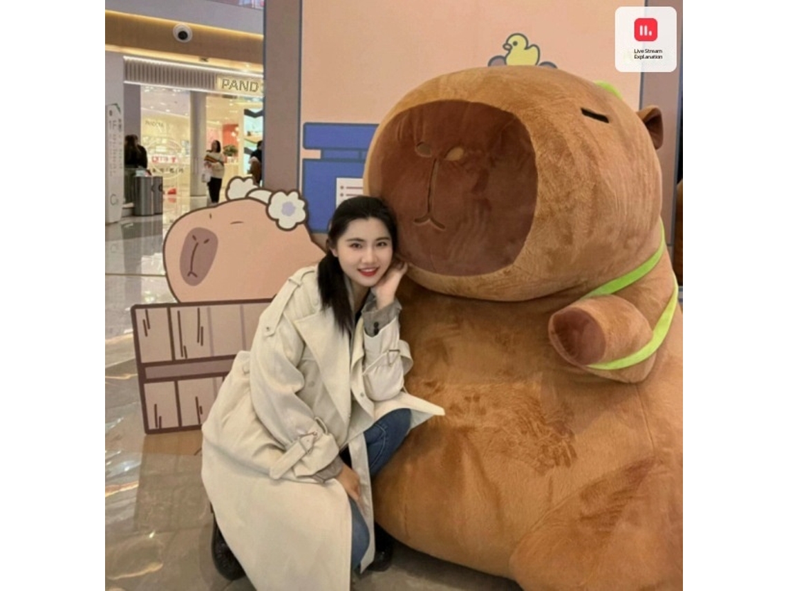 Pelúcia Capivara Rechonchuda Modelo Mochila Fofa e em Vários Tamanhos Pelúcia Tartaruga Rechonchuda Modelo Mochila Fofa e em Vários Tamanhos CHABERLU