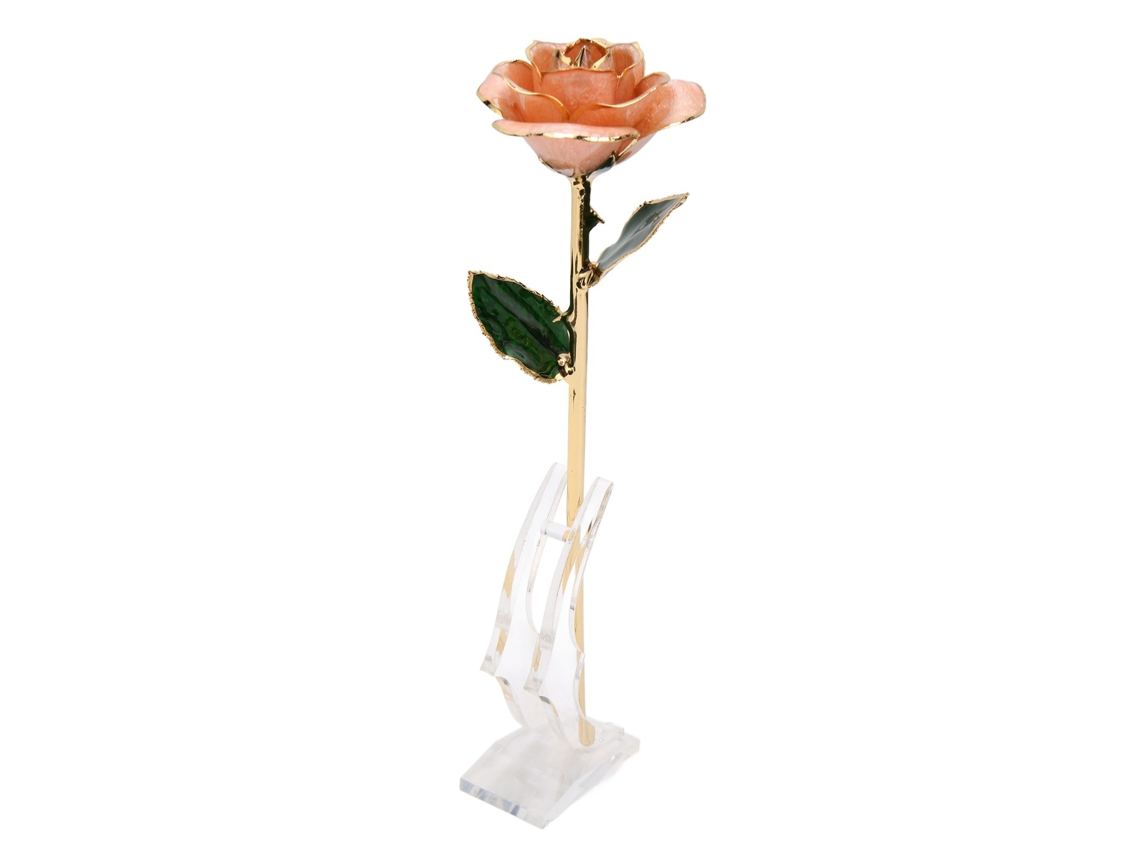 Oro rosa, base de 24k, Día de San Valentín, Aniversario, Rosa