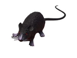 Modelo De Ratón Simulado Pequeño Con Apariencia Realista Figura De Ratón Falso Para Halloween Herramientas Educativas Negro