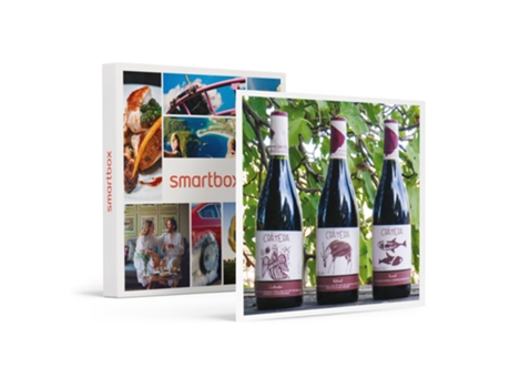Caja Regalo SMARTBOX De vinos sin salir de casa: 1 pack a domicilio de vinos manchegos Crátera