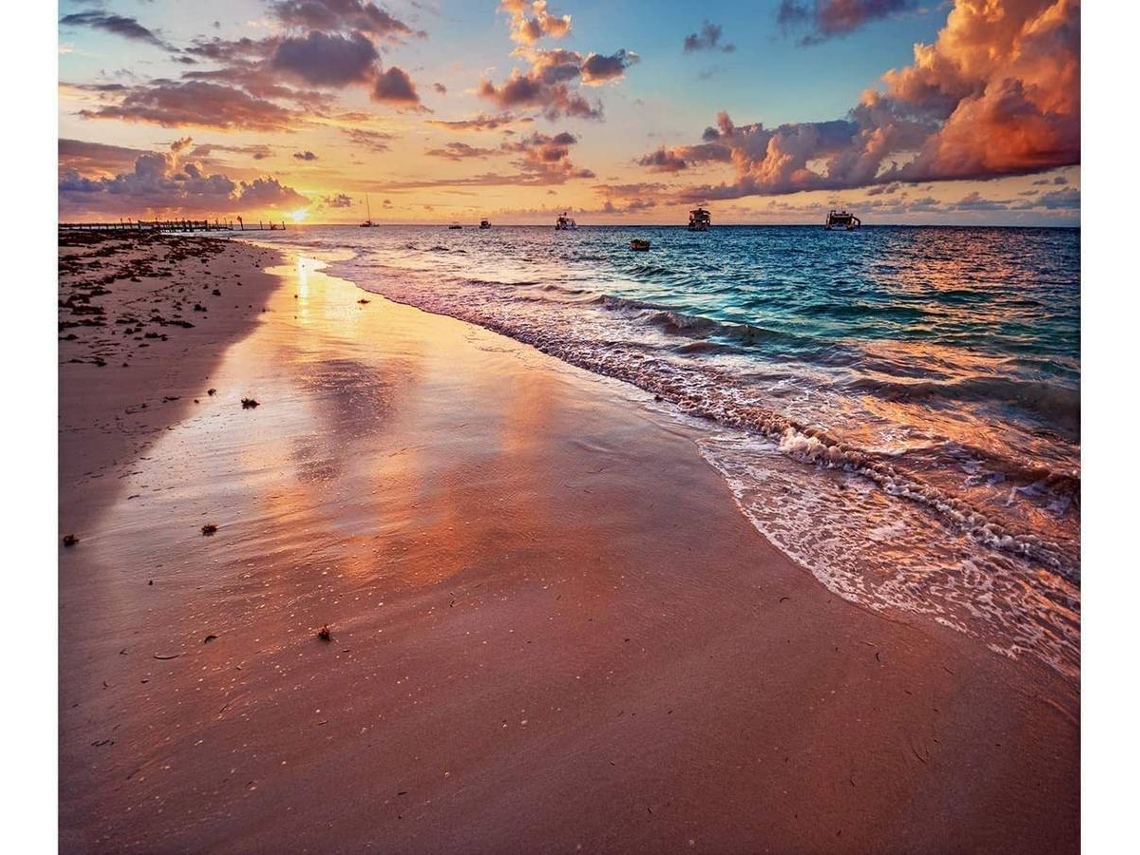 Cabecero de Cama OEDIM Puesta de Sol en la Playa (Multicolor - 135x60cm - Panal de Abeja)