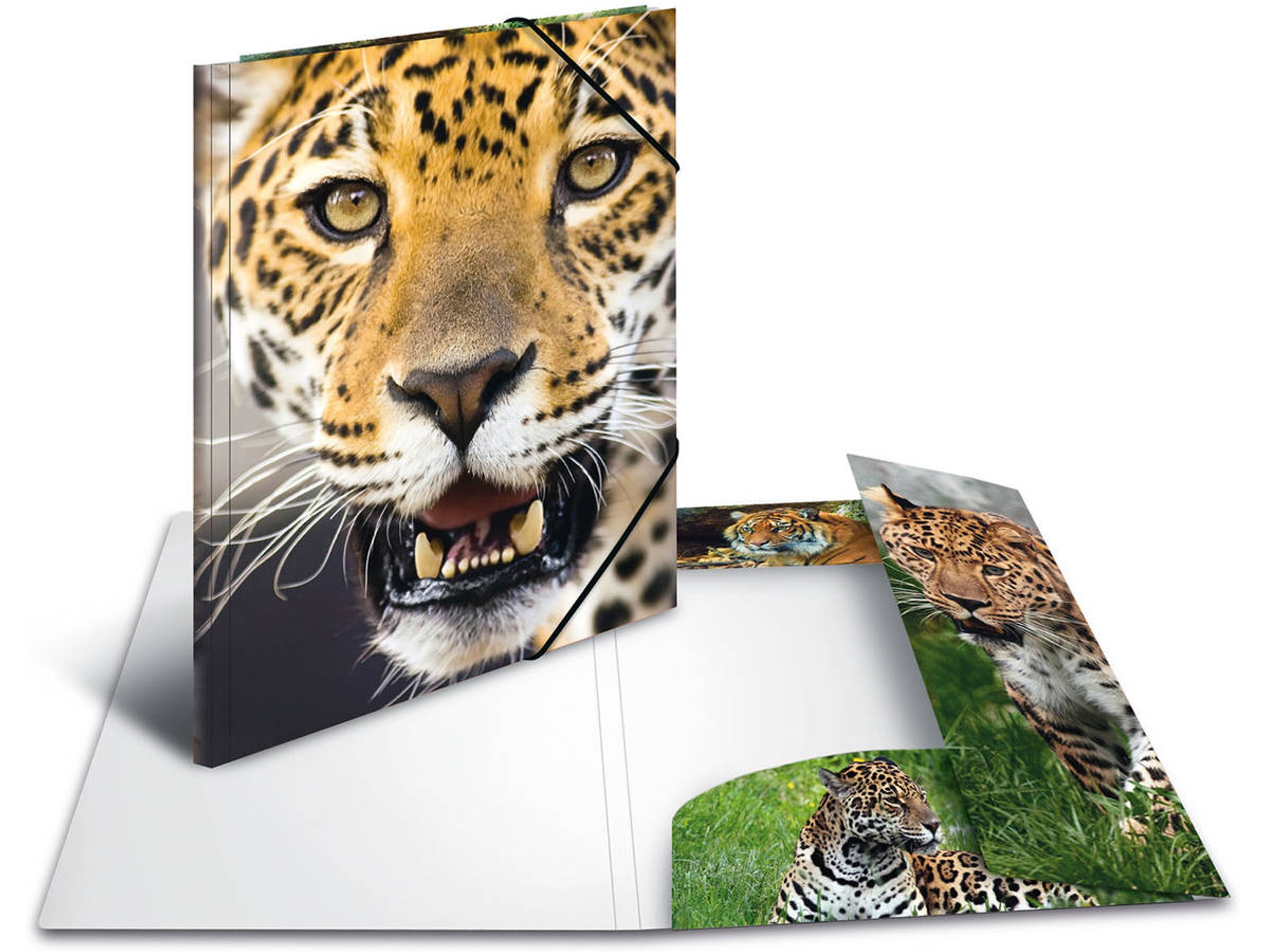 Carpeta HERMA Multicolor (A4 - Polipropileno)