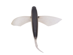Señuelo Artificial Para Peces Con Ala De Mosca Simulada, 17 Cm, Pvc Blando, Accesorio De Pesca, Color Negro.