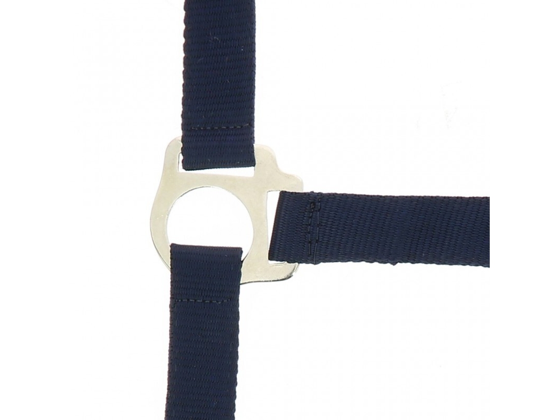 Cabezada para caballos Riding World Club
