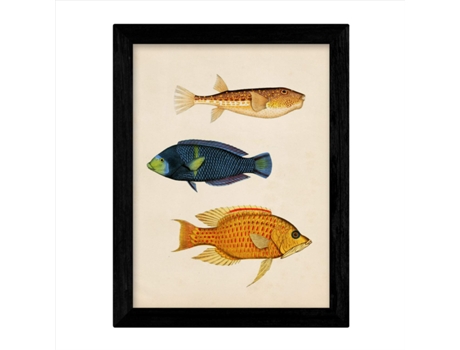 Set De 4 Láminas De Peces Coloridos Efecto Vintage. Caribe. Composicion De 12 Peces Diferentes, Fondo Papel Antiguo Vintage. . Sin Marco