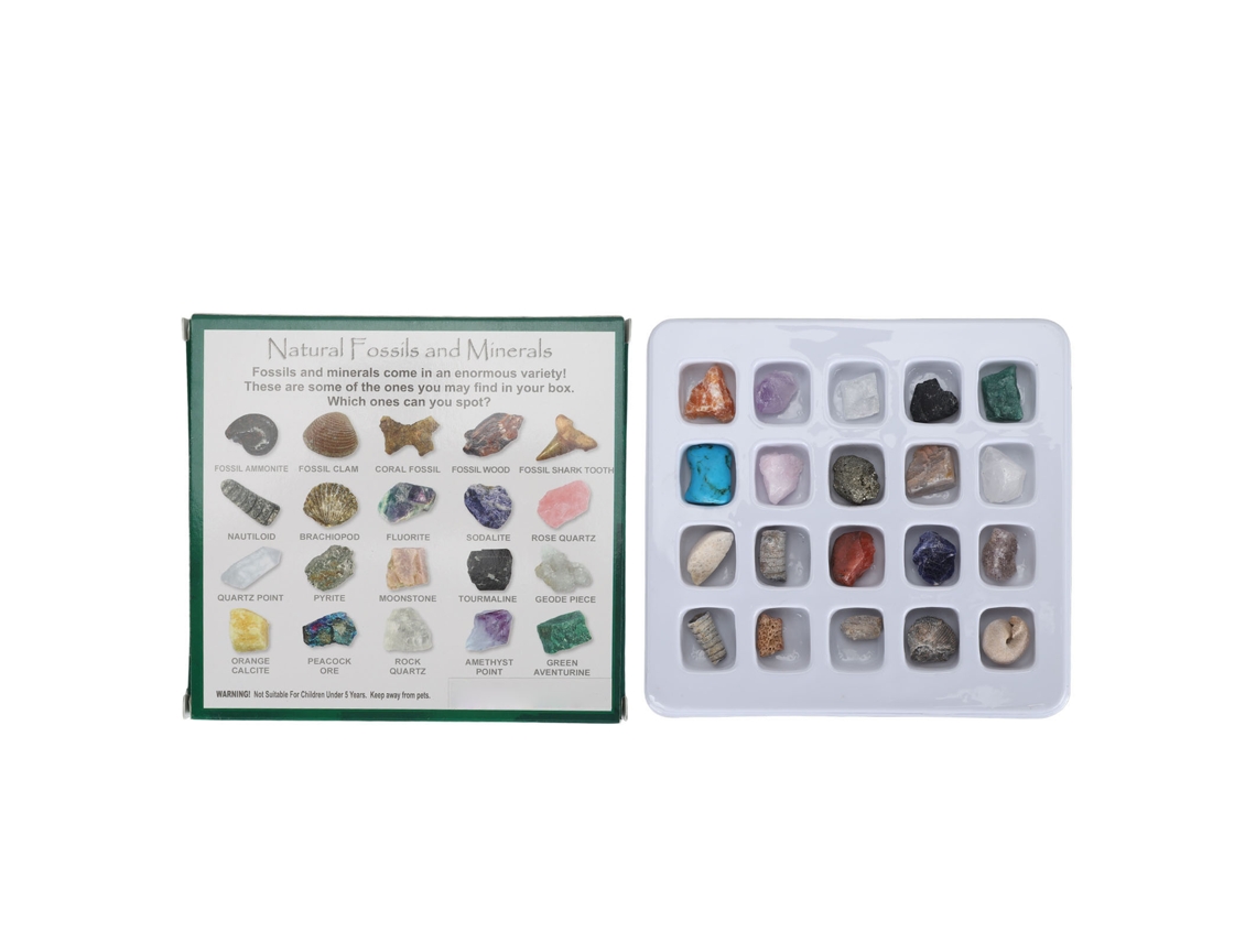 Kit De Colección De Piedras Y Minerales Para Niños Niñas: Juego Educativo Científico Para Clase De Ciencias Tipo 2 (20 Piezas)