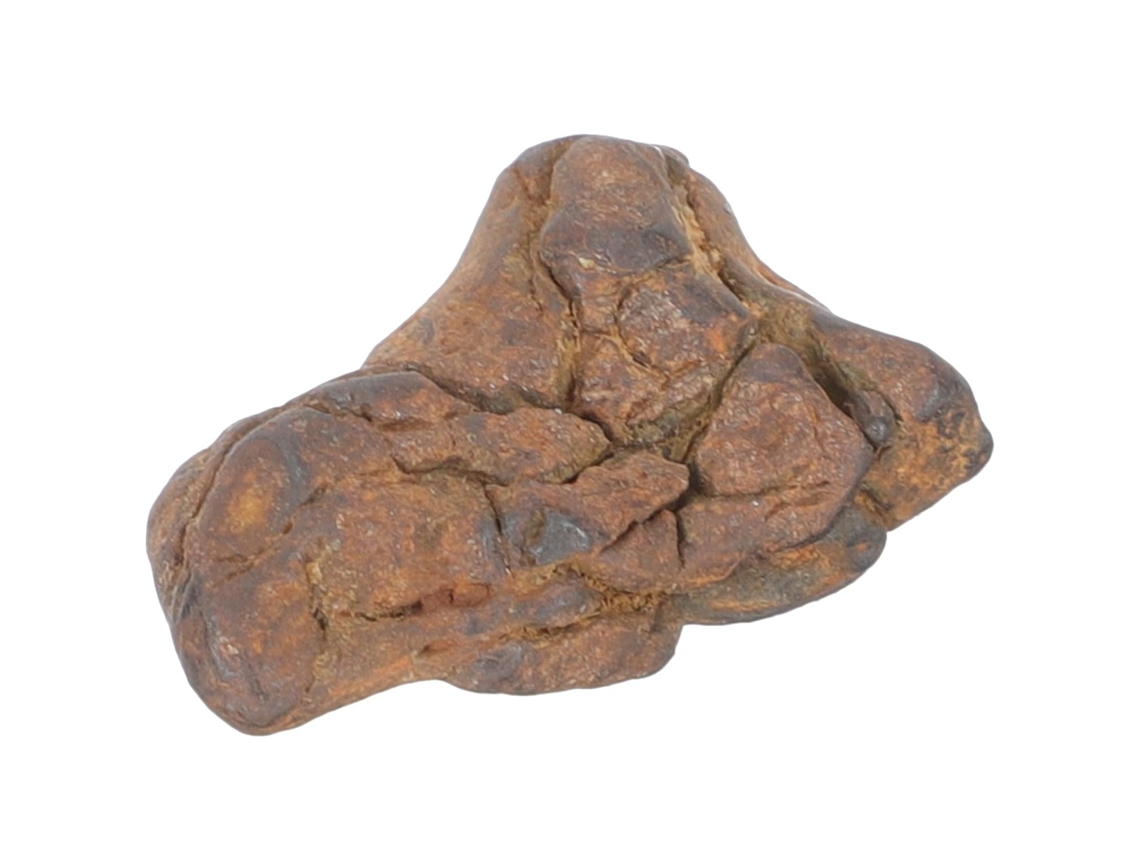 Ejemplar Didáctico De Meteorito Litosiderita Para La Enseñanza En El Aula.