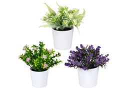 Conjunto de Macetas Suculentas Modernas para Decoración KOFIHETY